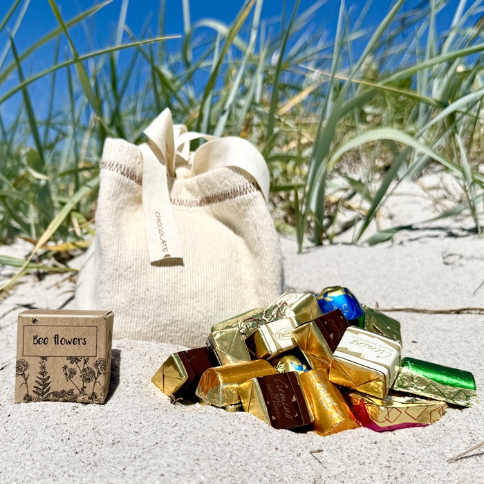 CHOKOLADE SOMMERGAVER