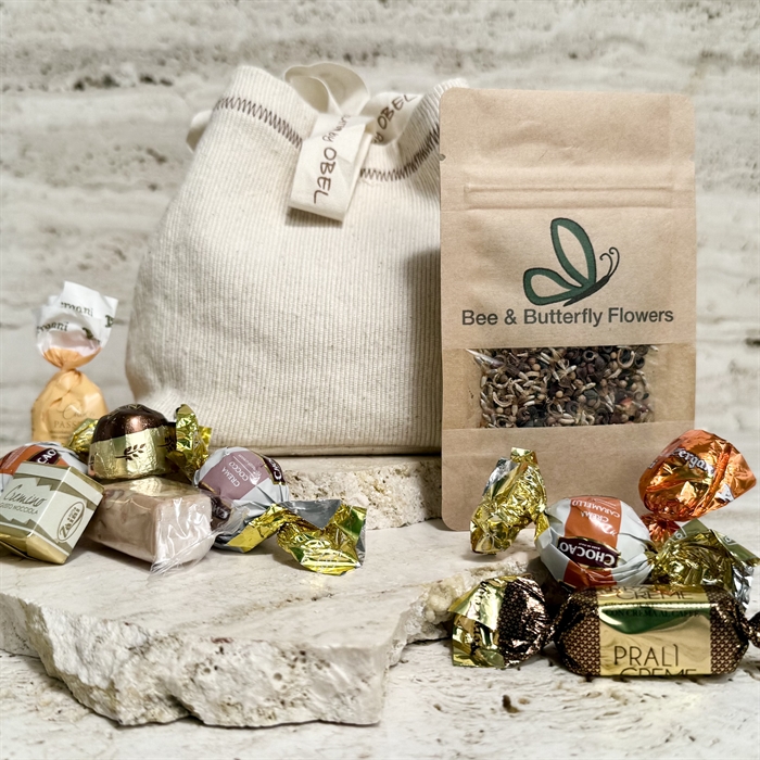 Plant en blomstereng - Hjælp biodiversiteten!