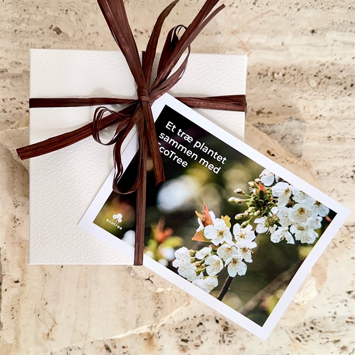 Plant et træ - Gaver med omtanke